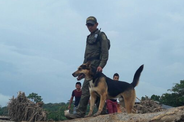 Diez vuelos diarios de solidaridad con Mocoa.