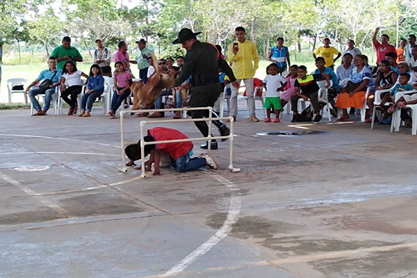 recreativas