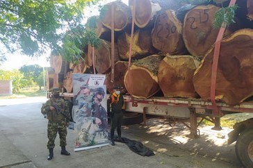 Madera incautada