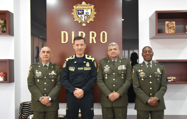dipro-_1.png