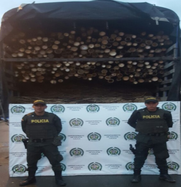 incautación guadua 